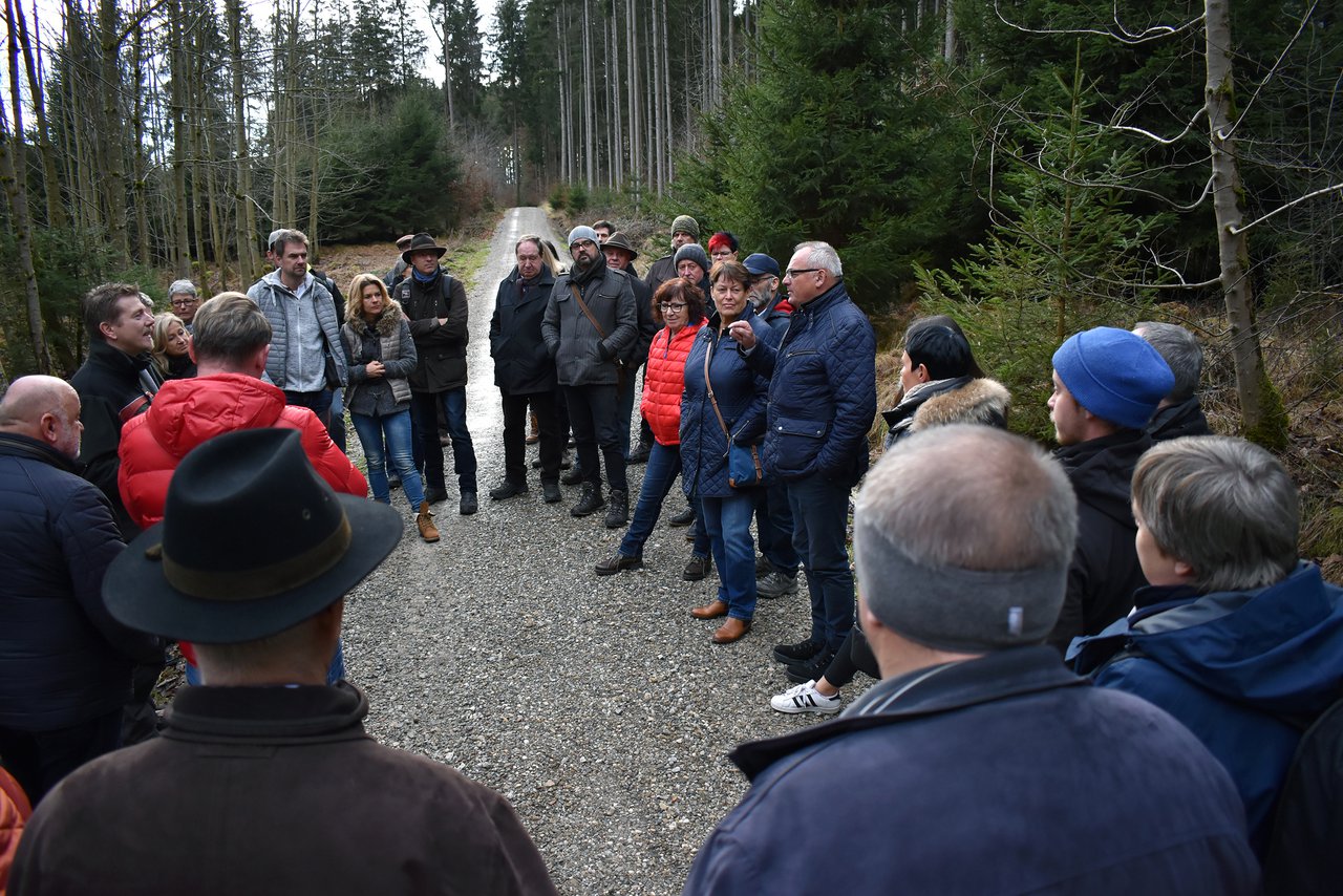 Lauber Wald