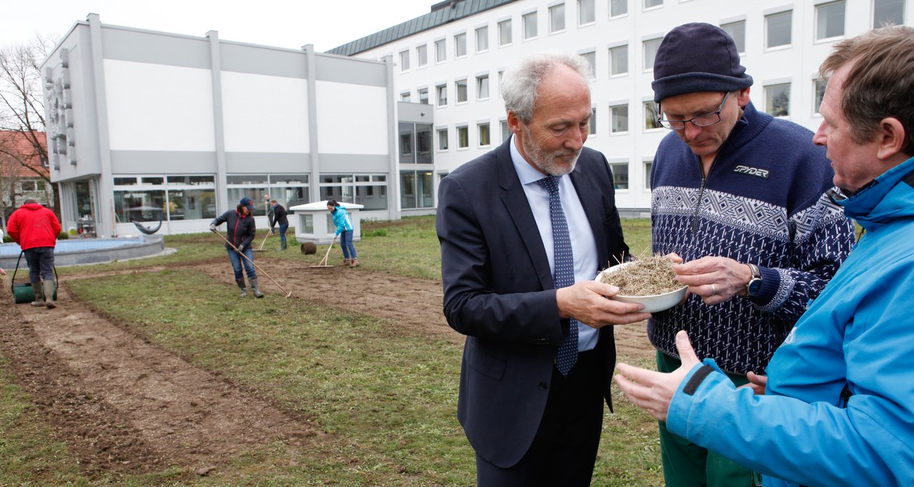 Blumenwiesen für die Artenvielfalt