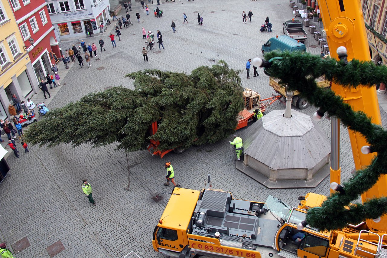 Weihnachtsbaum 2019