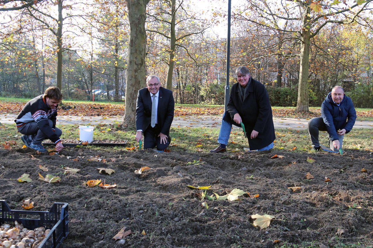 Weiße Pracht im Stadtpark