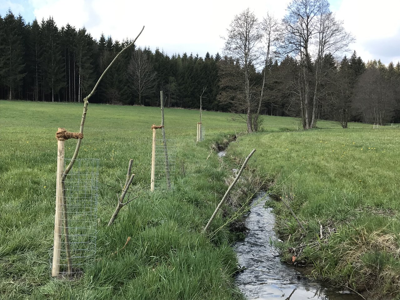 Schutzzonen an Gewässern