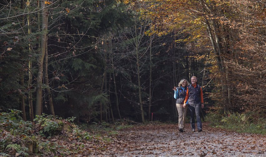 2021-09-08 Wanderherbst.jpg