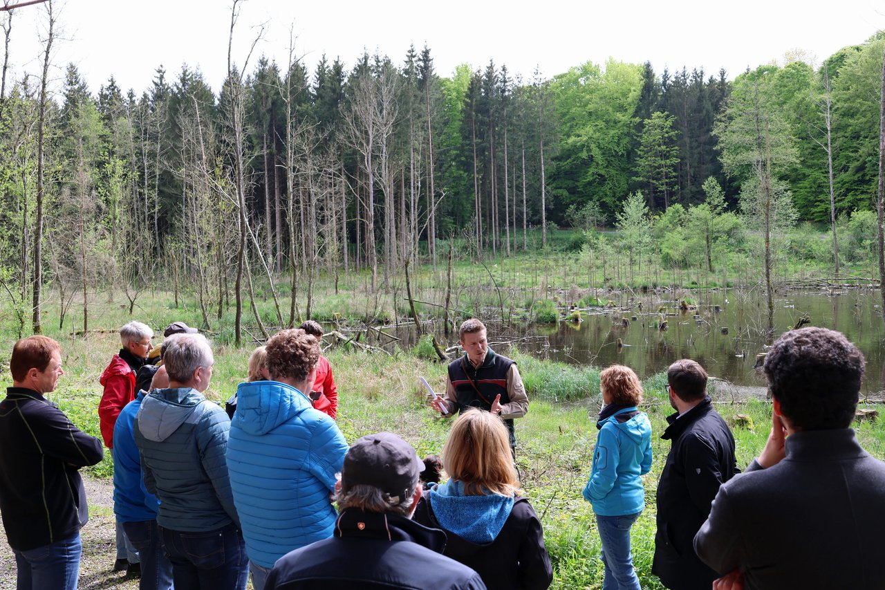 2023-05_Waldbegehung-Stadtrat