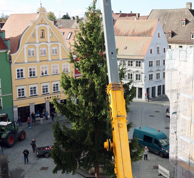 2023-11-15_Aufstellen-Weihnachtsbaum-Marktplatz_001