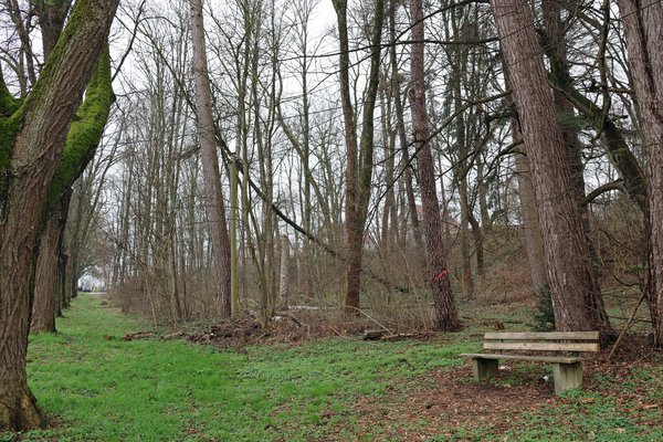 {{ blog.title }}