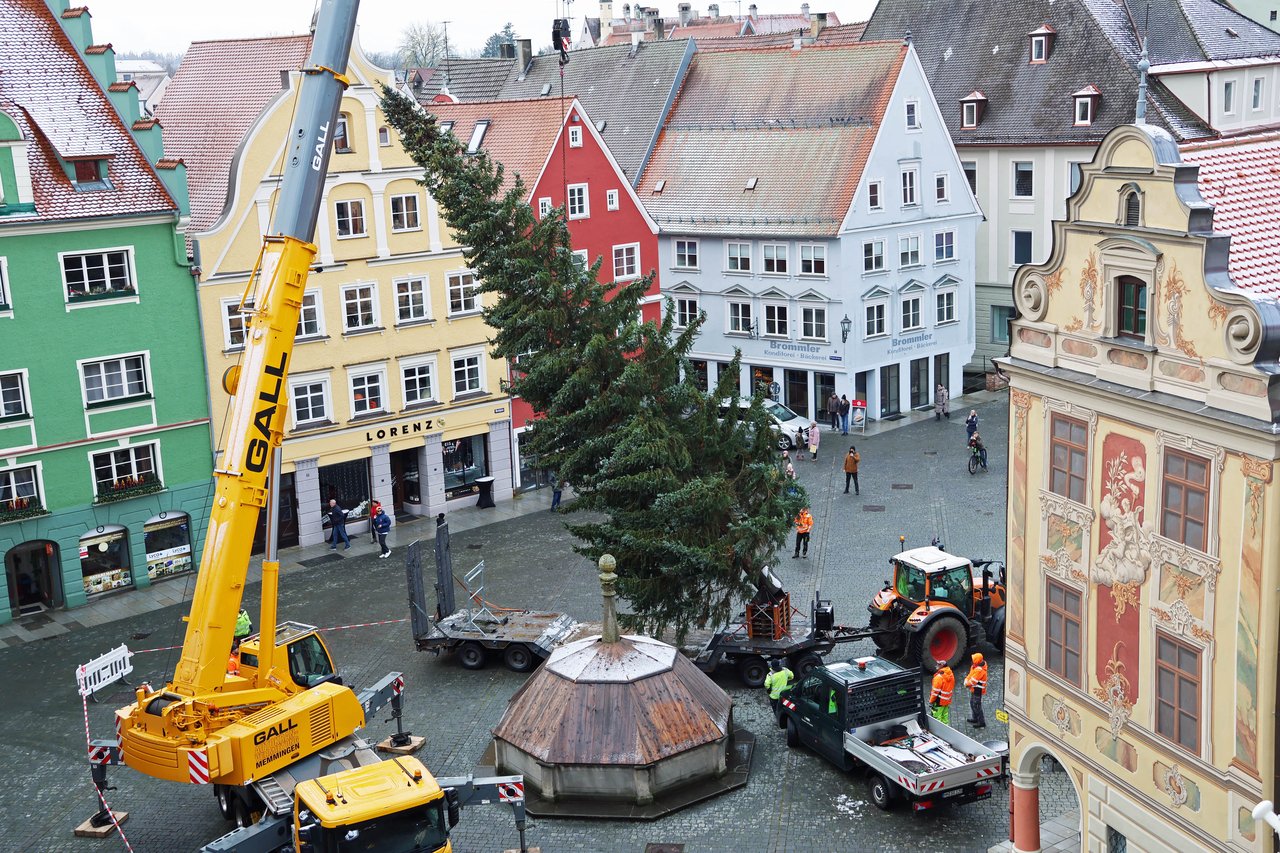 2024-11-20_Christbaum ist aufgestellt_01