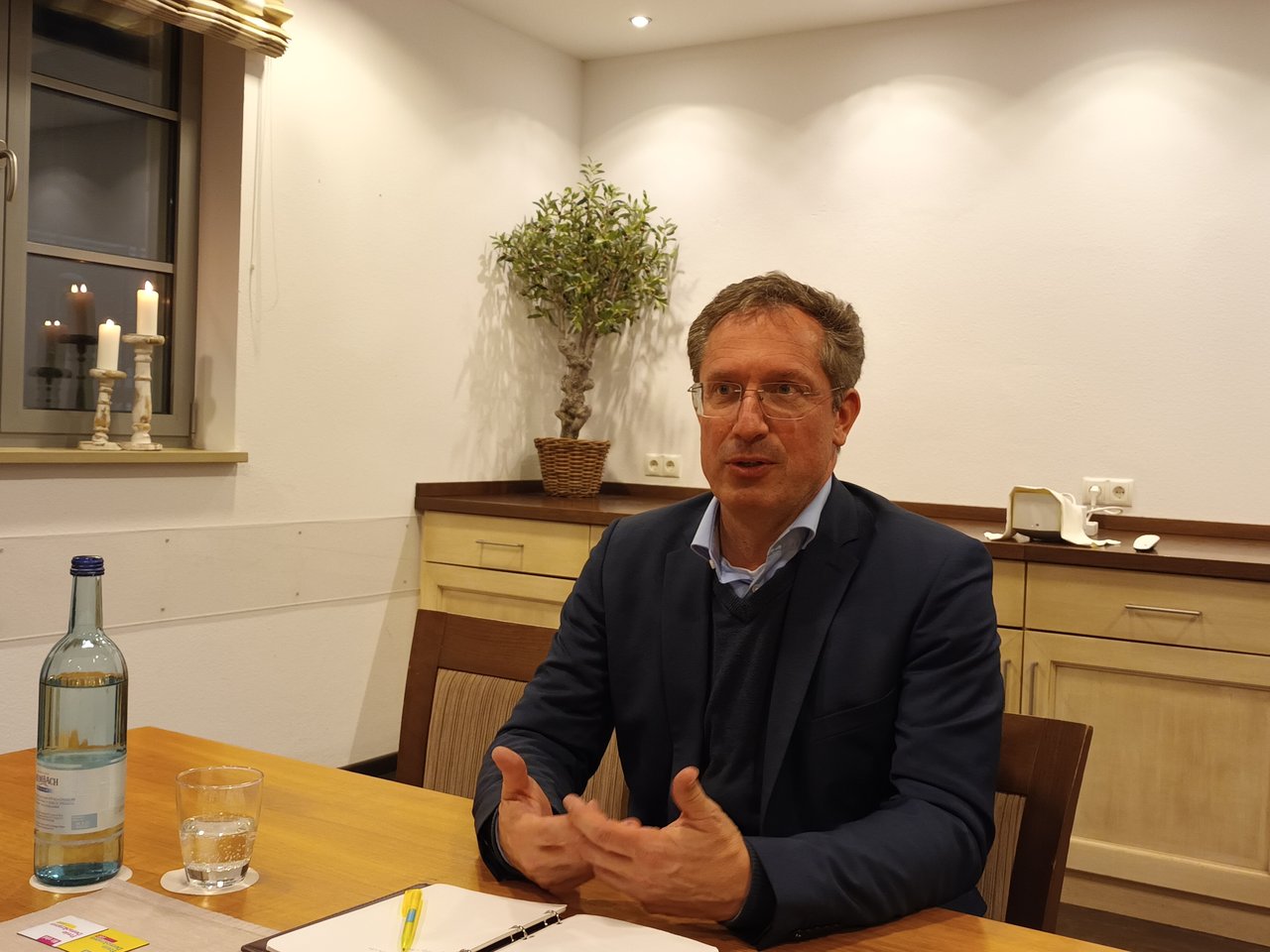Stephan Thomae FDP
