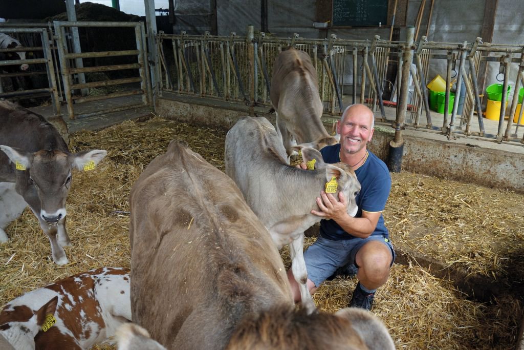 Kuhkomfort im Allgäu