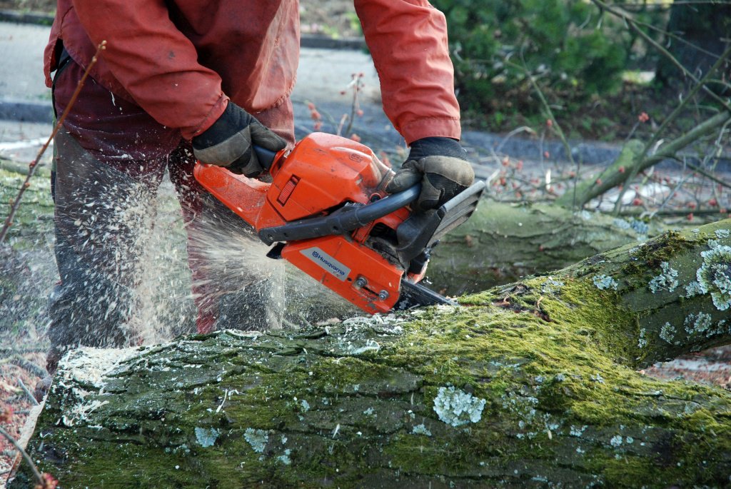 Baumfällungsarbeiten entlang der Harter Halde