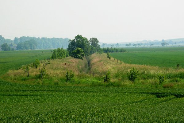 {{ blog.title }}
