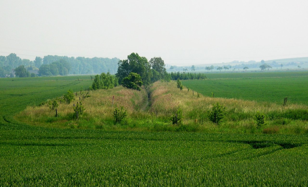 Randstreifen Gewässer