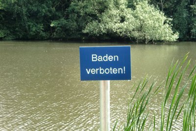 {{ blog.title }}