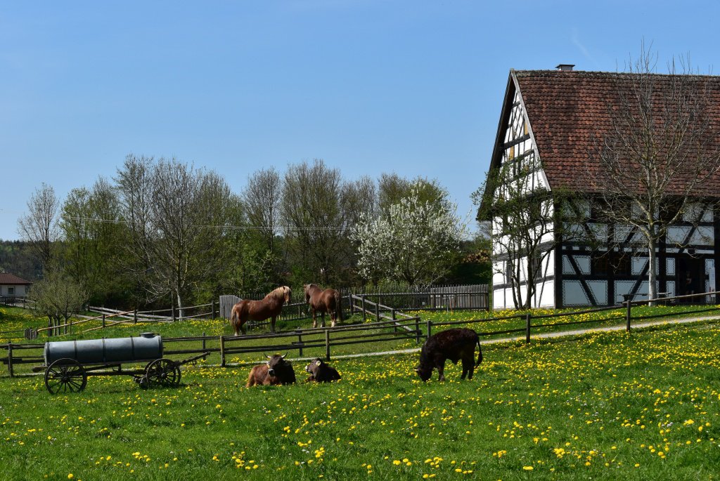 Unterallgäu