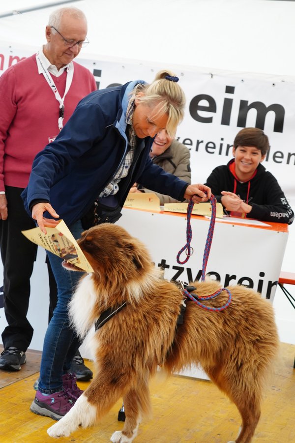 Tierheim Tag offene Tür