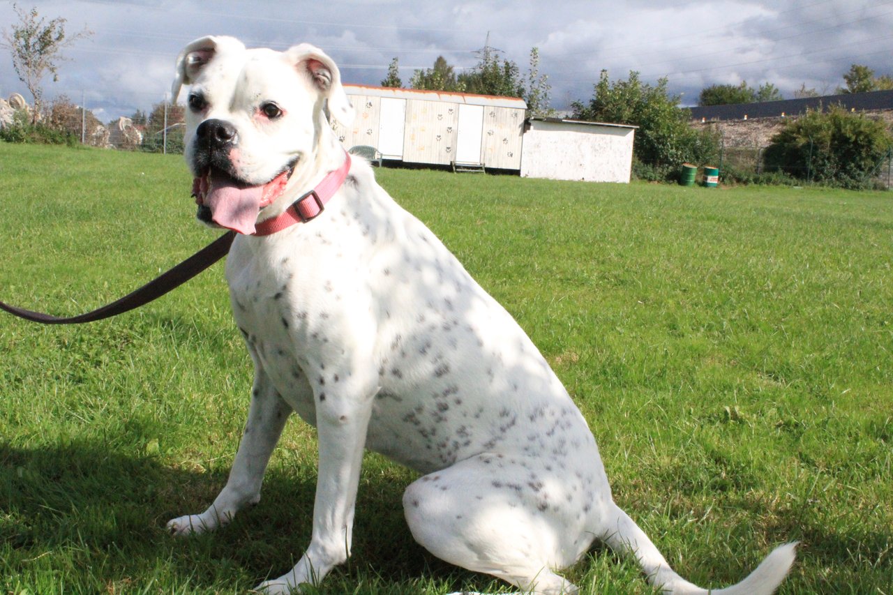 Amy (2)
