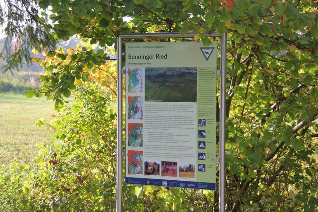 Benninger Ried