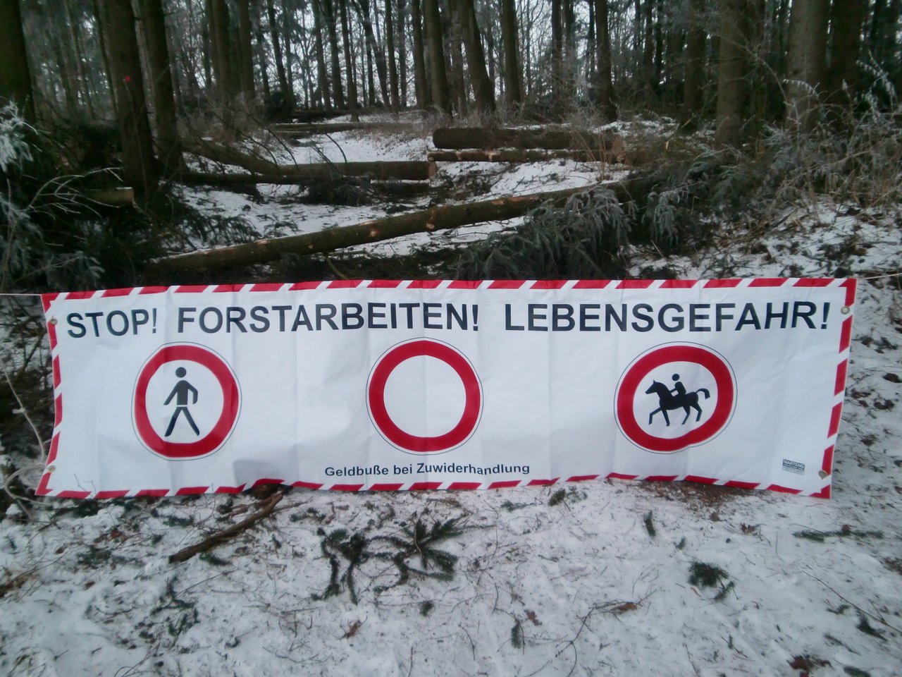 Baumfällarbeiten