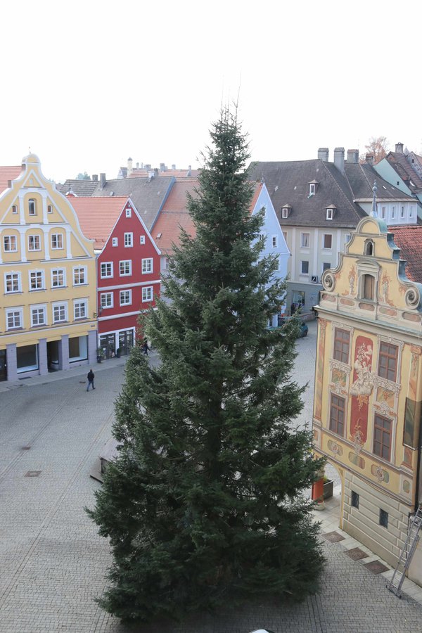 Christbaum 2017