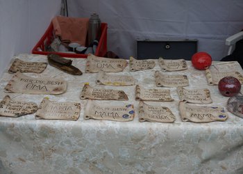 Memmingen blüht