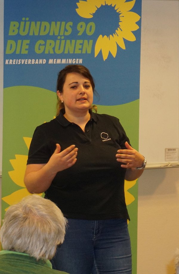 Saubere Energie Stromspeicher Grüne