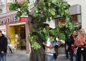 Pflasterspektakel 2018