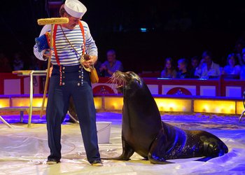 Circus Krone