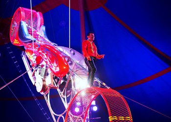Circus Krone