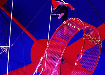 Circus Krone