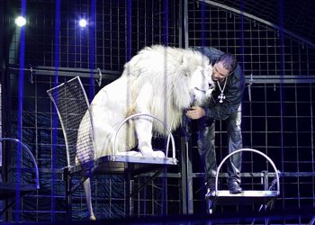 Circus Krone