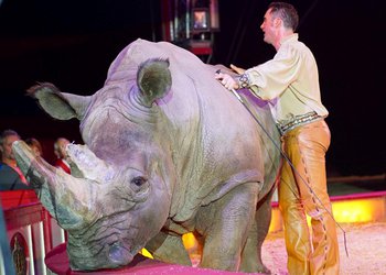 Circus Krone