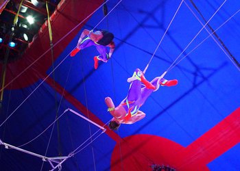 Circus Krone