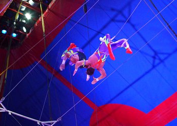 Circus Krone