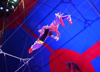 Circus Krone