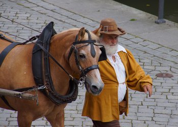 DSC04744_crop.JPG