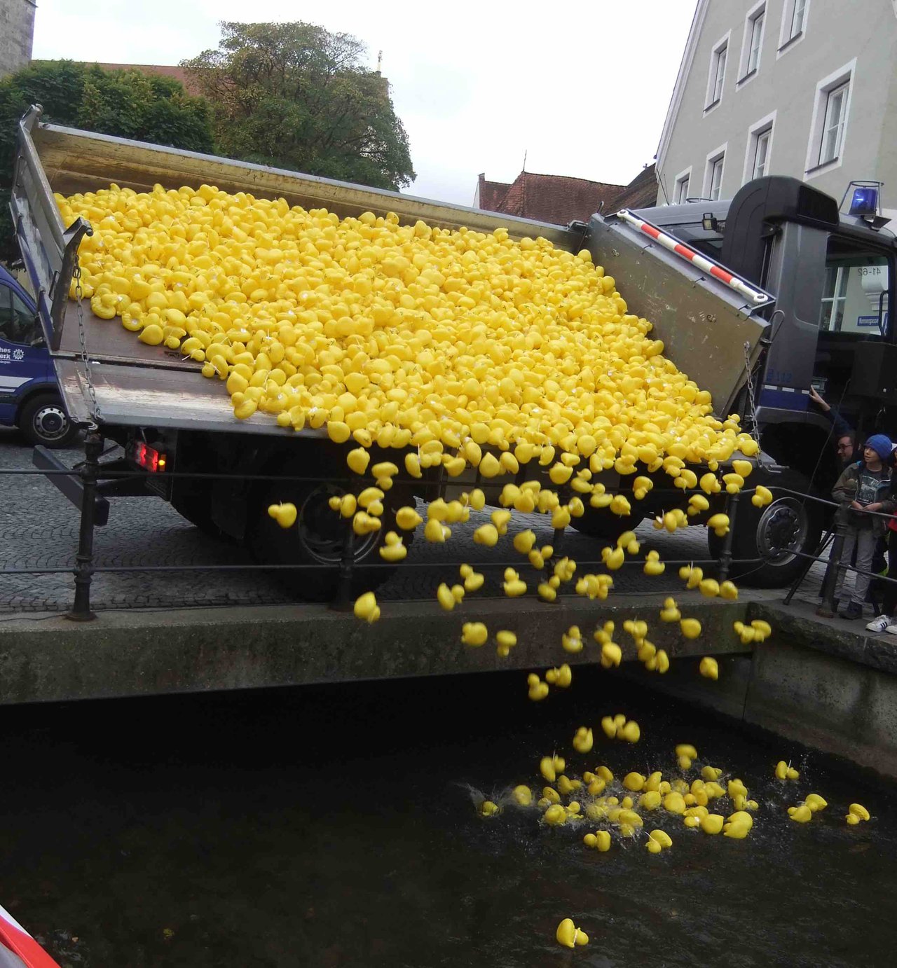 Ente1