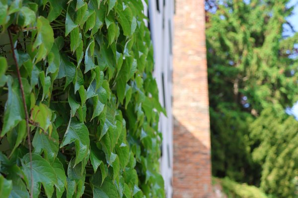 {{ blog.title }}