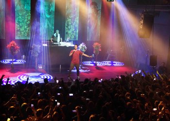 Green11.jpg