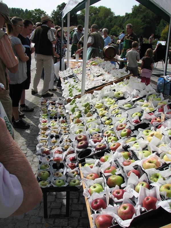 Erntedank- und Herbstfest