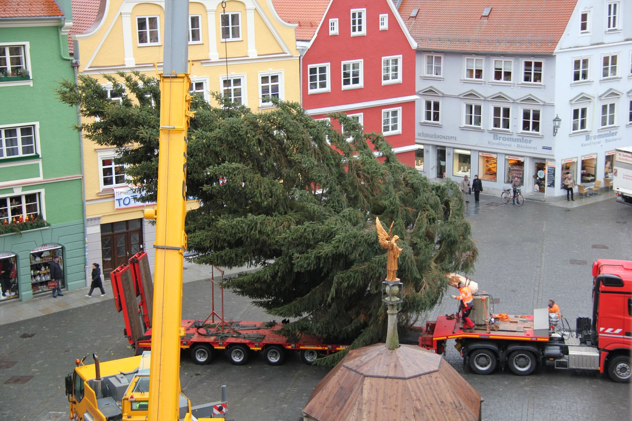 Christbaum
