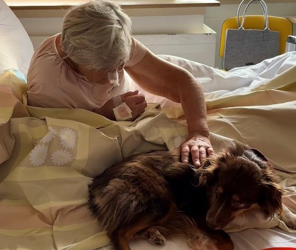 KlinikumMemmingen_TiergestützteTherapie_01