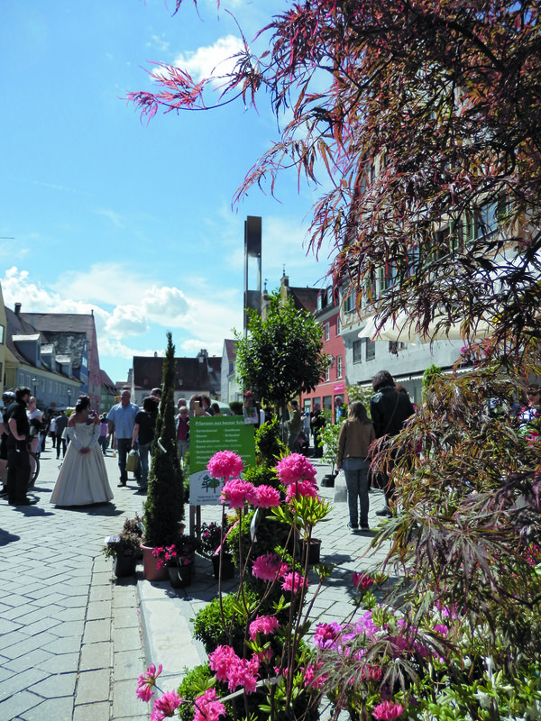Memmingen blüht ...
