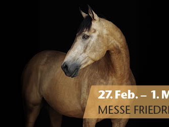 PB26-600x250px_Keyvisual