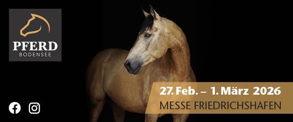 PB26-600x250px_Keyvisual