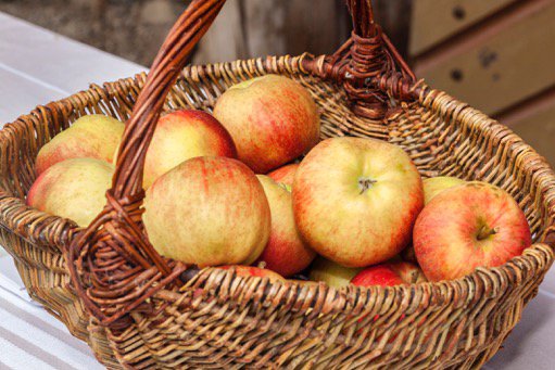 Rund ums Obst – Sortenvielfalt im Bauernhofmuseum