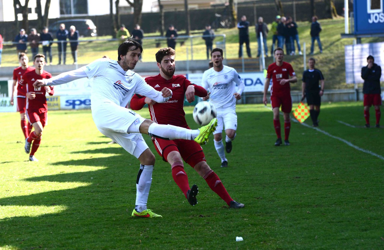 Schimmer Garching