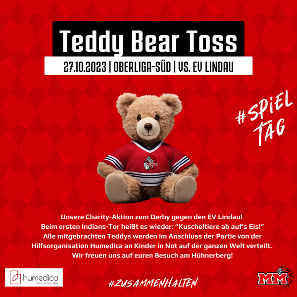 TeddyTossFlyer
