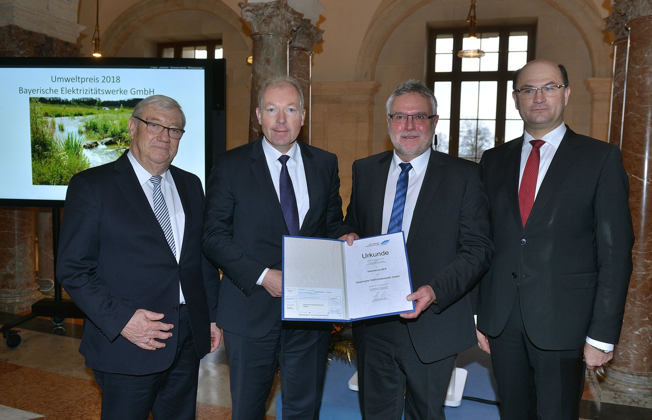 Bayerische Elektrizitätswerke Umweltpreis