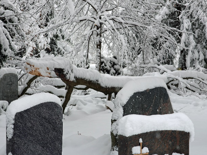 Waldfriedhof Schnee