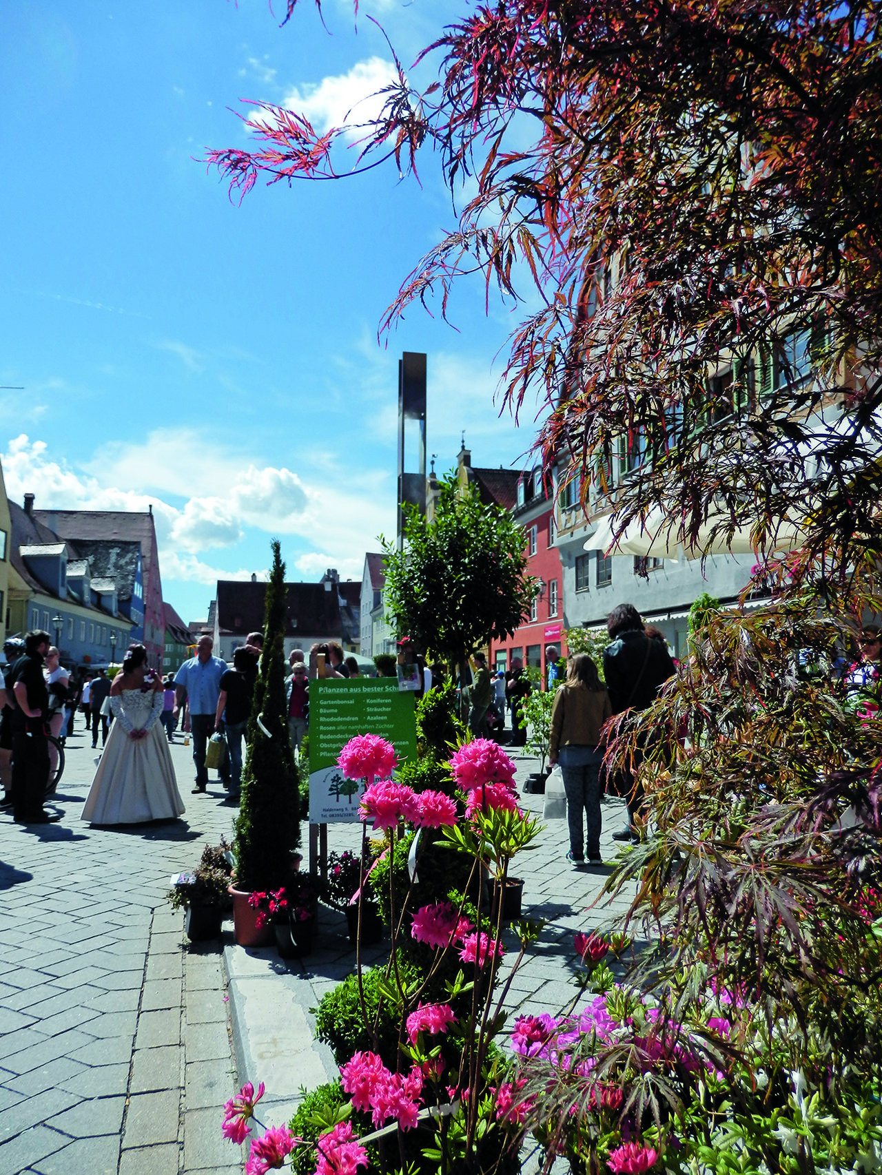 Memmingen blüht