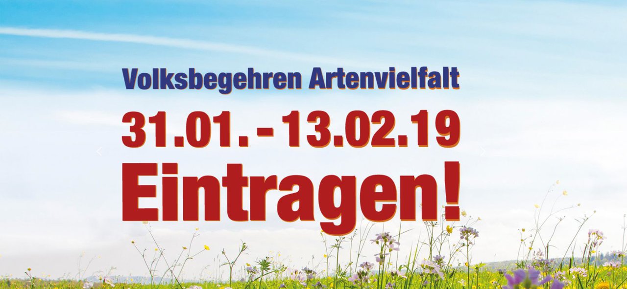 Rettet die Bienen